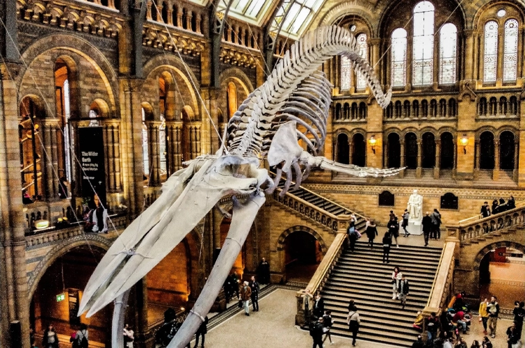 Modèle Galène Test