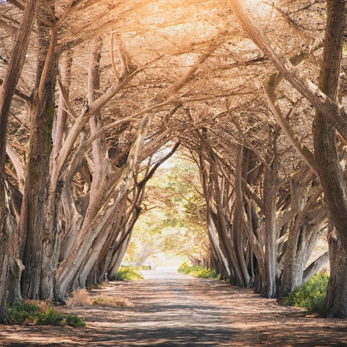 Modèle Galène Test